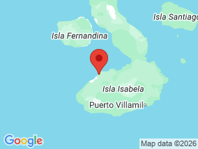 Map of Site Report: Isla Isabella - Punta Moreno, Ecuador